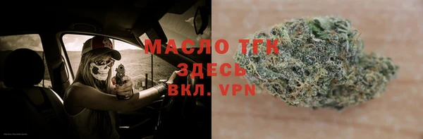 мдпв Инта