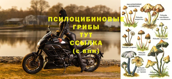 mdma Инсар