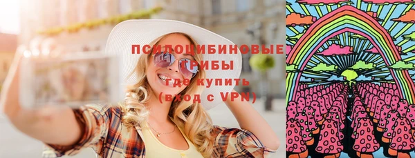 мдпв Инта