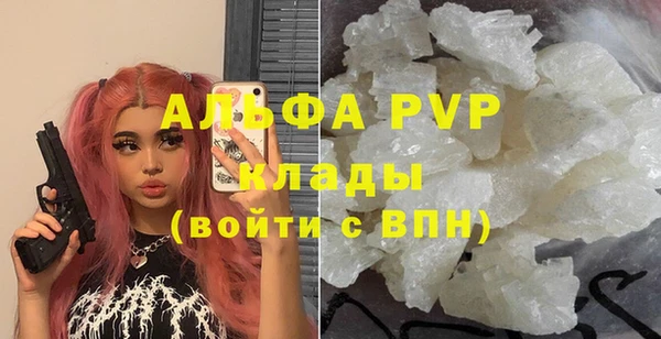 мдпв Инта