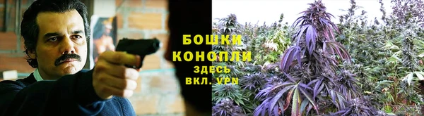 мдпв Инта