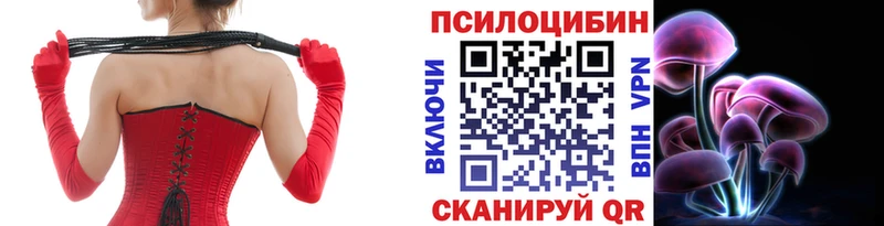 где продают   Серпухов  Галлюциногенные грибы GOLDEN TEACHER 